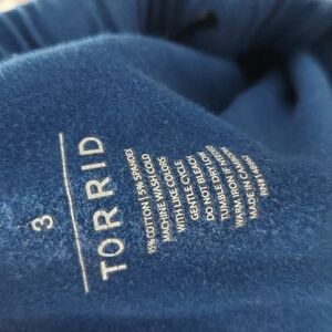 Torrid Blue Garment
